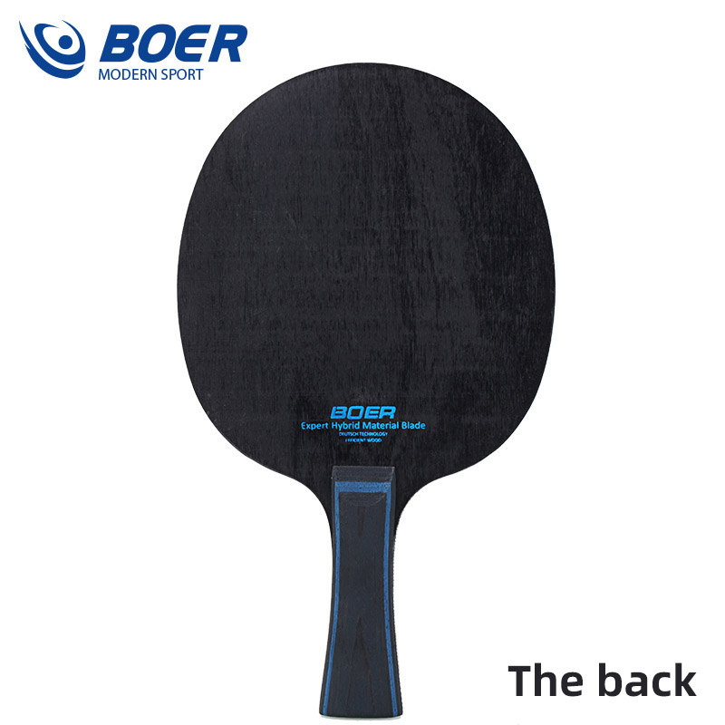 شفرة تنس الطاولة من بور ليون 5 - مراجعة Table Tennis Eleven وسعره