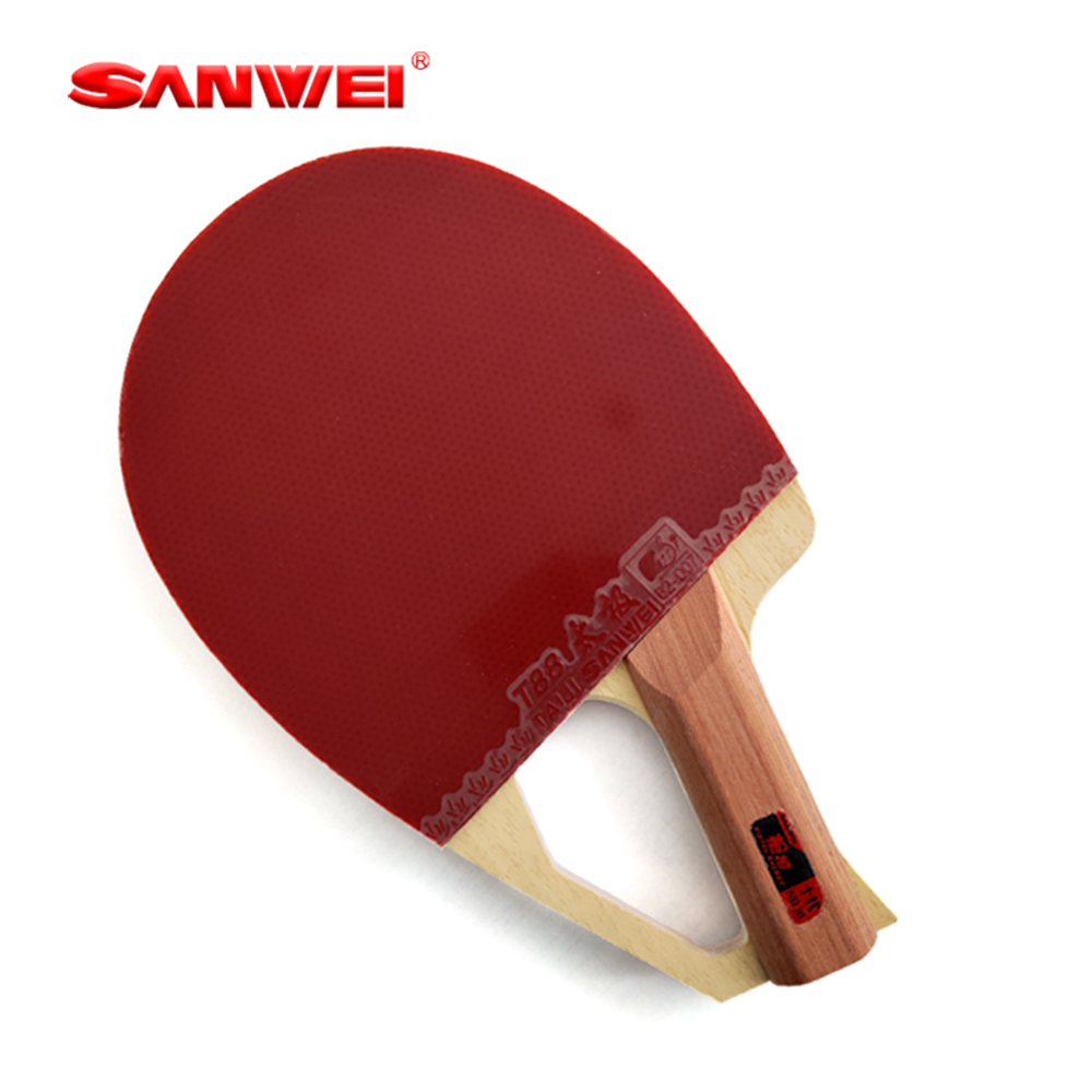 مضرب تنس طاولة أصلي من سانوي ب - مراجعة Table Tennis Paddles وسعره