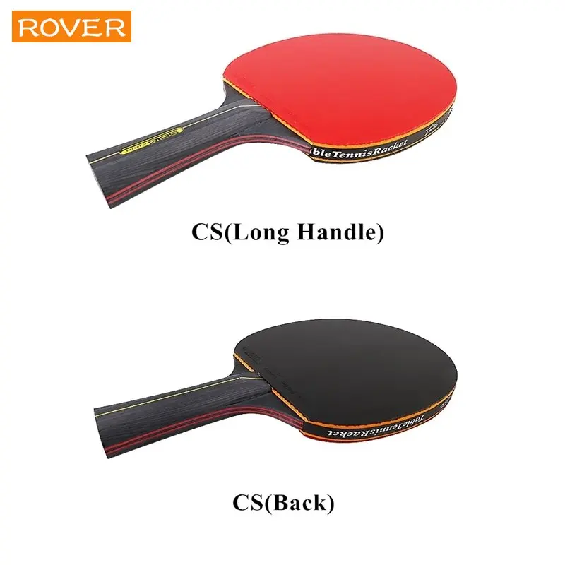 5/6 ستار مضرب تنس الطاولة 2 قط - مراجعة Table Tennis Backhand وسعره