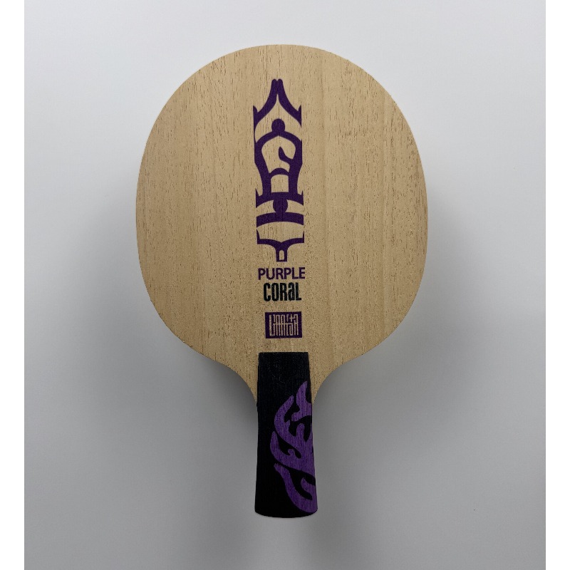 مضرب تنس الطاولة ميتيور بيربل  - مراجعة Table Tennis Paddles وسعره