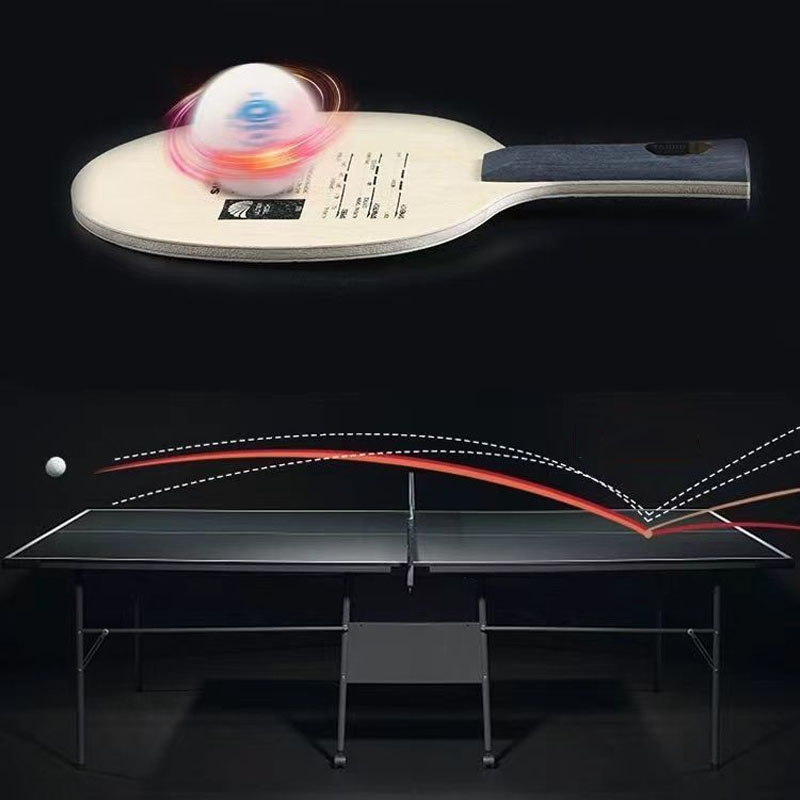 شفرة سانوي T5000 الأصلية لتنس  - مراجعة Table Tennis Eleven وسعره